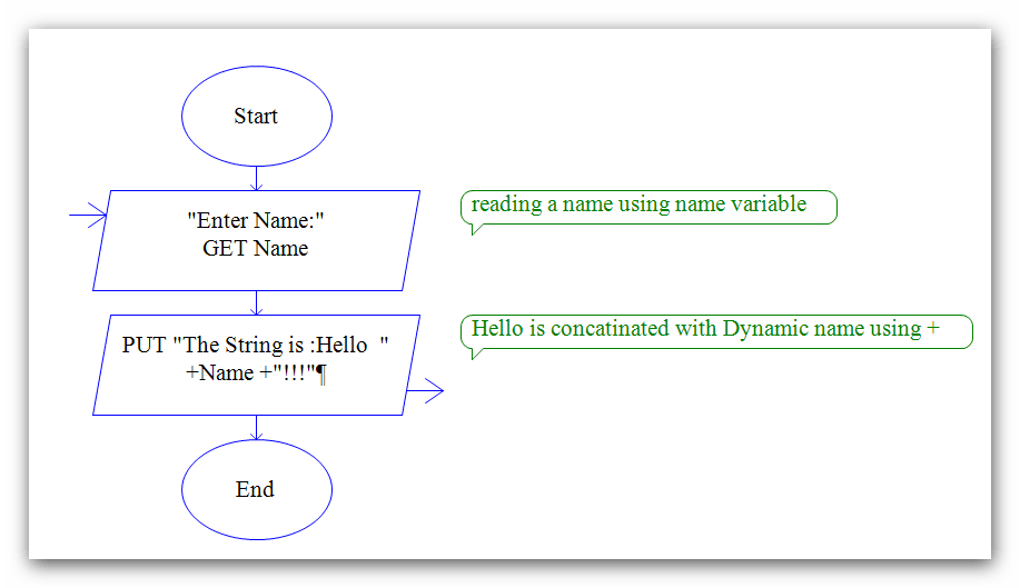 raptor printstring programming9